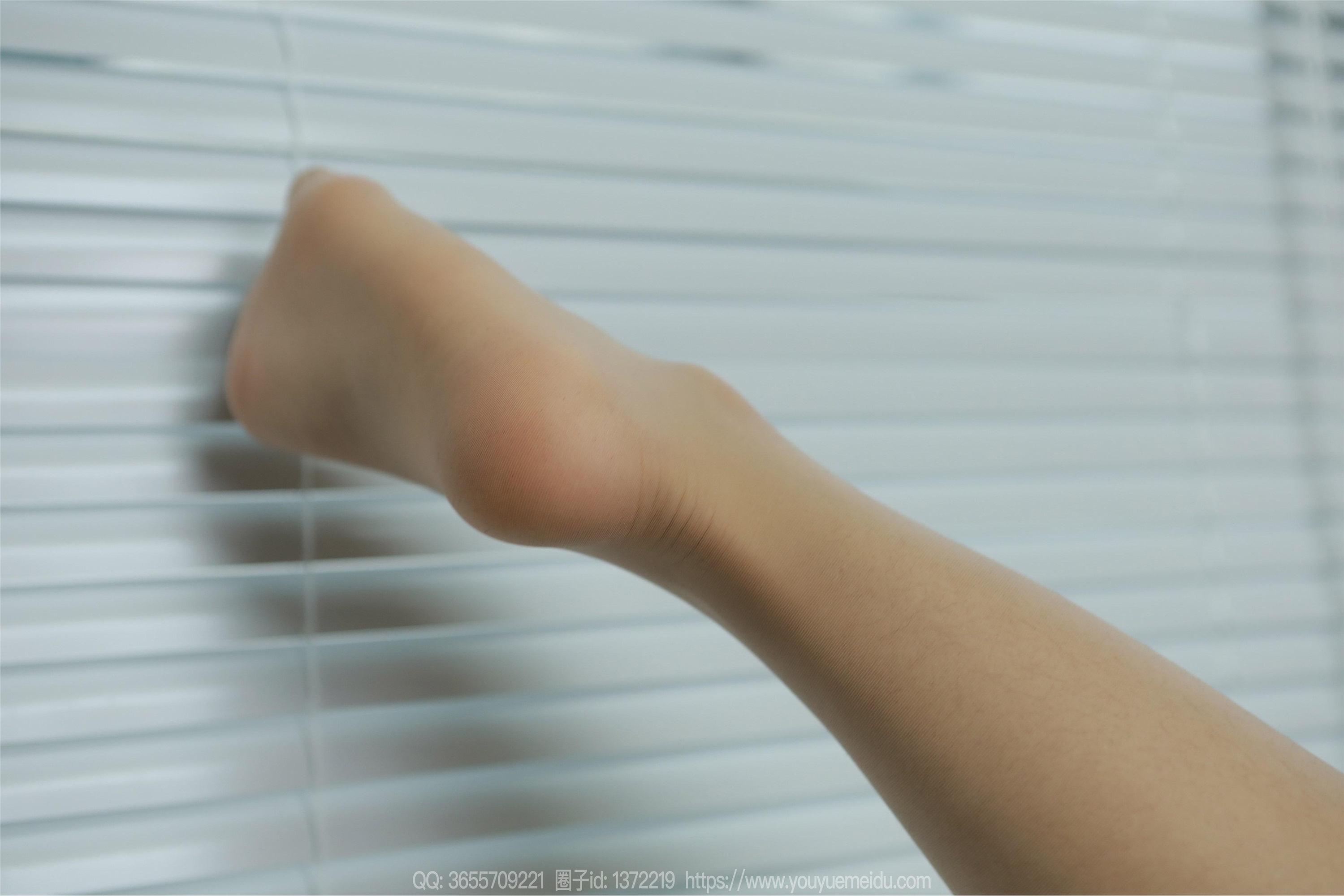 IESS异思趣向  2024.03.31 丝享家 1703 兔兔《隐秘的角落》